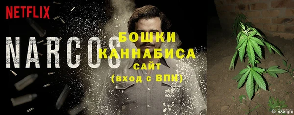 гидра Тайга