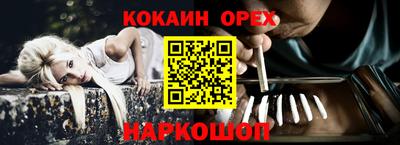 ГАЛЛЮЦИНОГЕННЫЕ ГРИБЫ Гусев