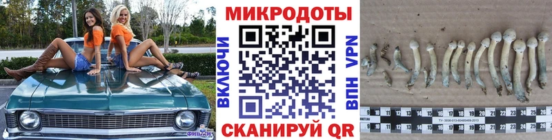 Псилоцибиновые грибы мицелий  мега вход  Калининград 
