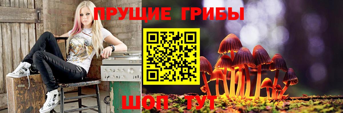 Галлюциногенные грибы GOLDEN TEACHER  Вход с VPN  наркотики  Калининград 